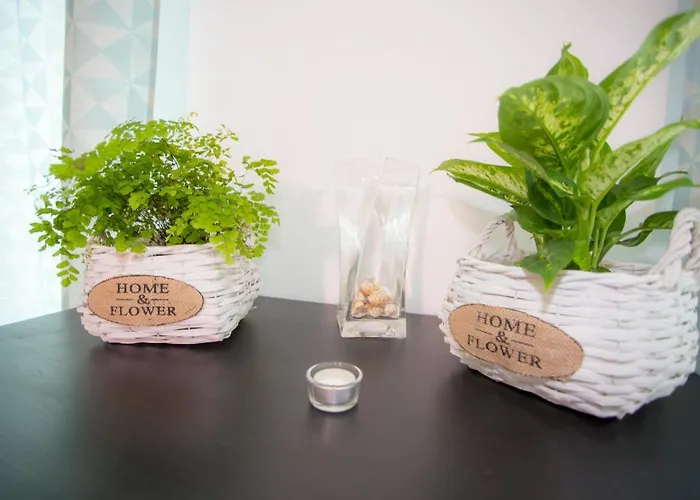 Surf And Stones Peniche